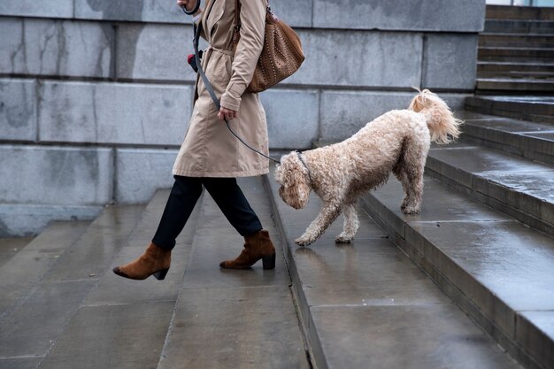 Donna che porta a spasso il suo cane in città mentre piove