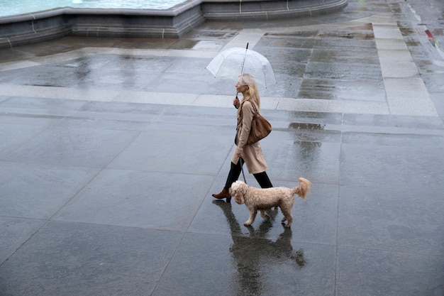 Donna che porta a spasso il suo cane in città mentre piove