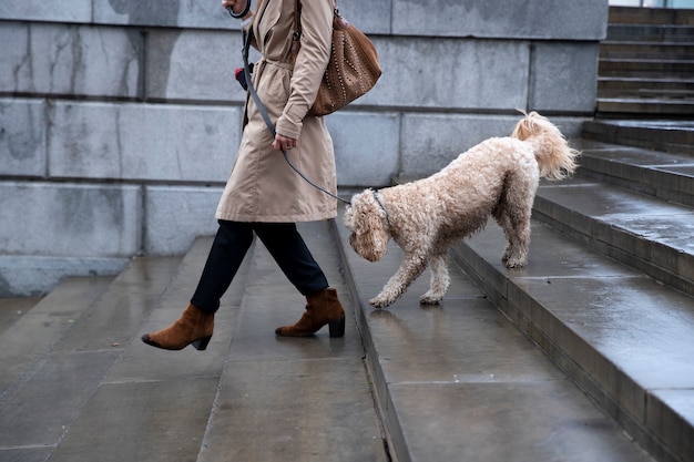 雨が降っている間、街で犬を散歩している女性