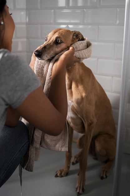 Foto gratuita vista laterale del cane di lavaggio della donna