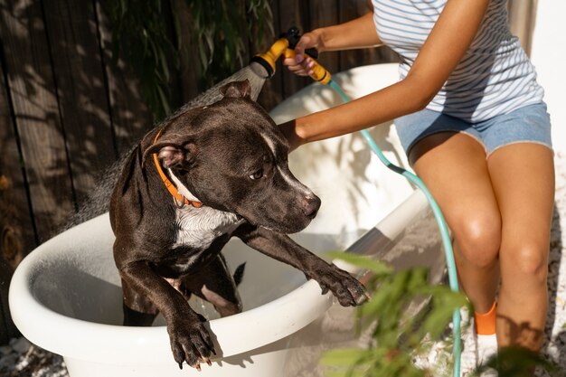 Woman washing dog with hose high angle