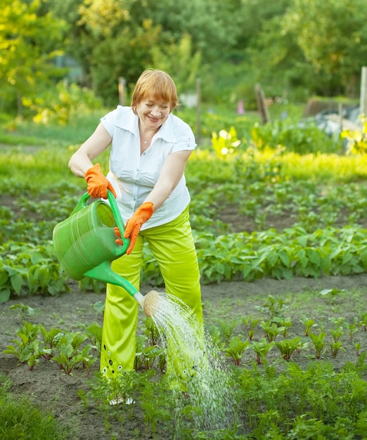 woman watering  with  watering pot