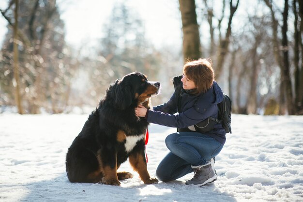 Woman in winter coat stroaks the Bernese Mountain Dog standing in the park 