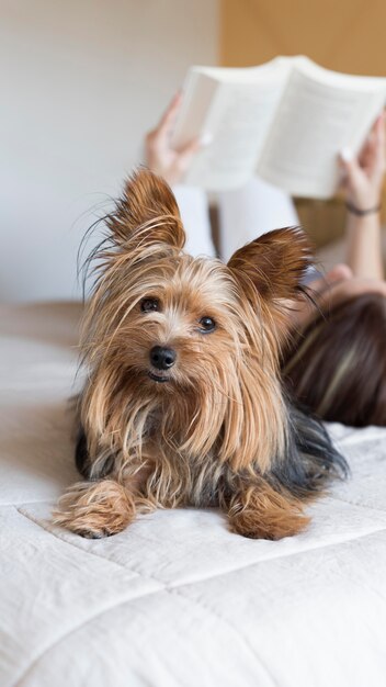 読書の横に犬を持つ女性