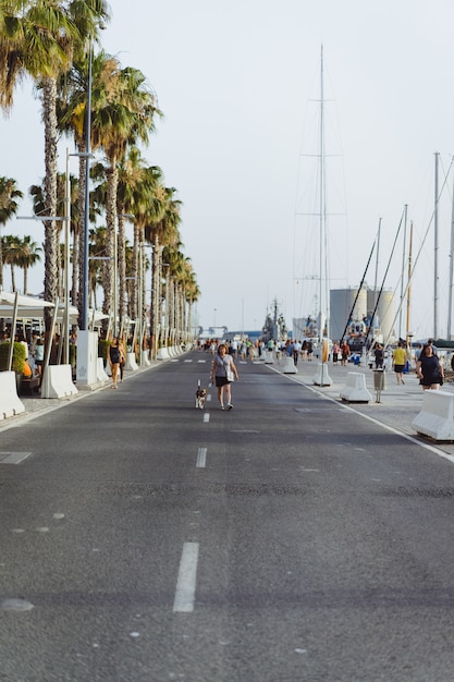 woman with a dog walks in the port