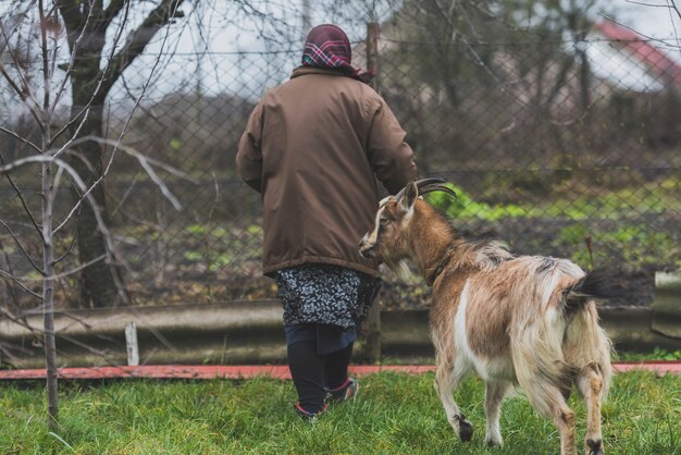 Woman with goat on farm