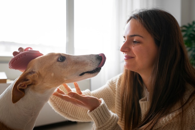 Free photo woman with greyhound dog at home