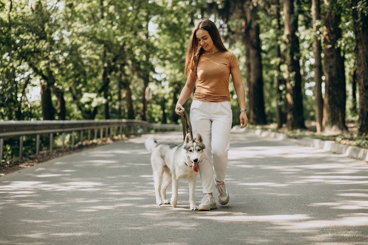無料Photo 公園で彼女のハスキー犬を持つ女性