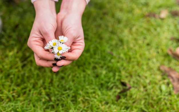 土地の芝生の近くの小さな白い花を持つ女性