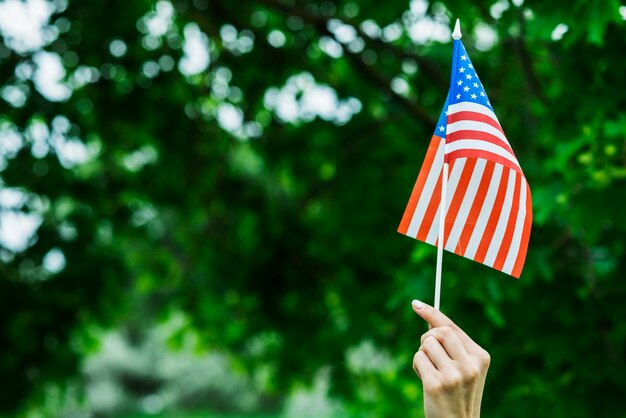 小さなアメリカの旗を持つ女性