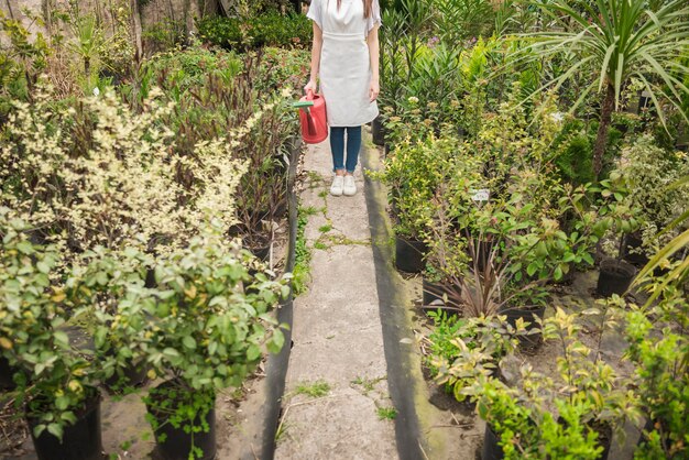 Woman with watering can standing in greenhouse surrounded by various plants