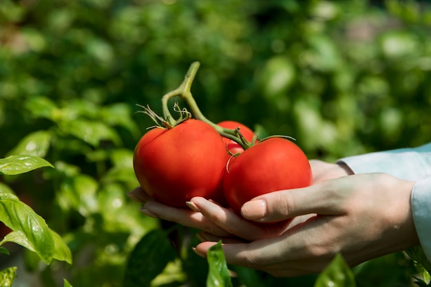 Woman working alone in a sustainable greenhouse