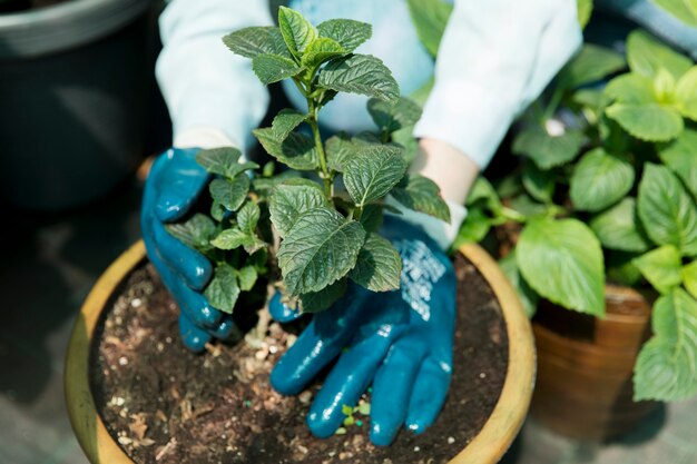 woman working in her sustainable greenhouse