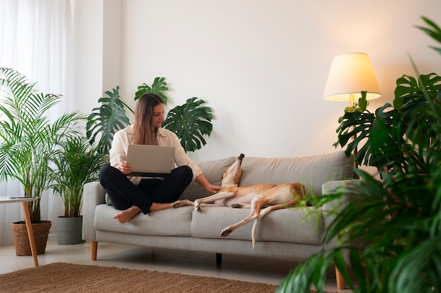 Woman working at home from laptop with greyhound dog on the couch