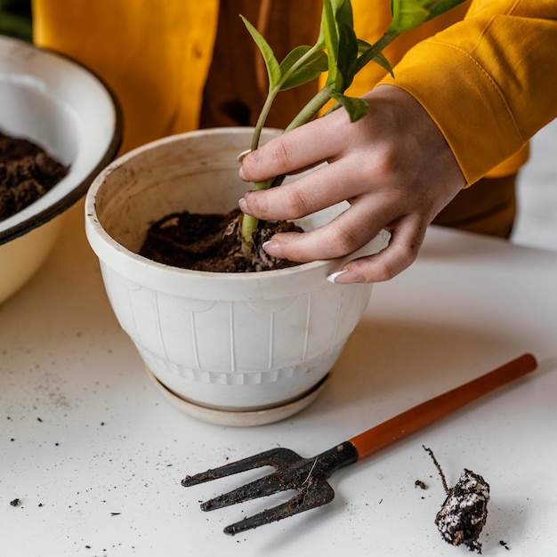 Free photo woman in yellow shirt gardening indoors