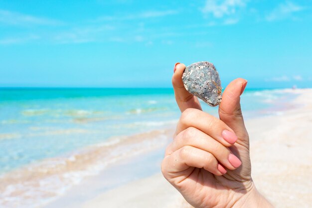 Womans hand holding a seashell on the beach