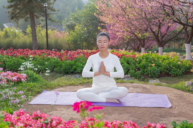 Women are playing yoga at the park