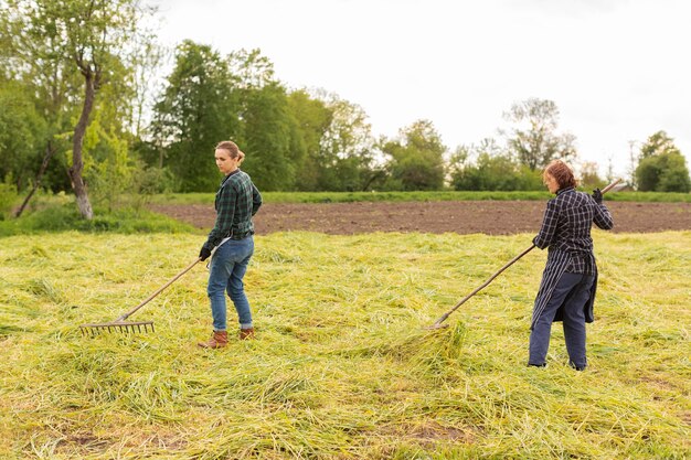 Women collecting grass