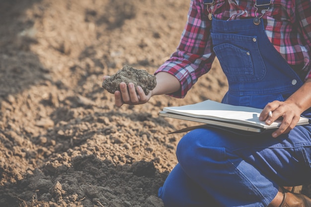 女性農民は土壌を研究しています。