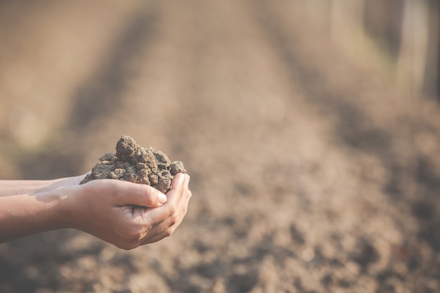 Women farmers are researching the soil.