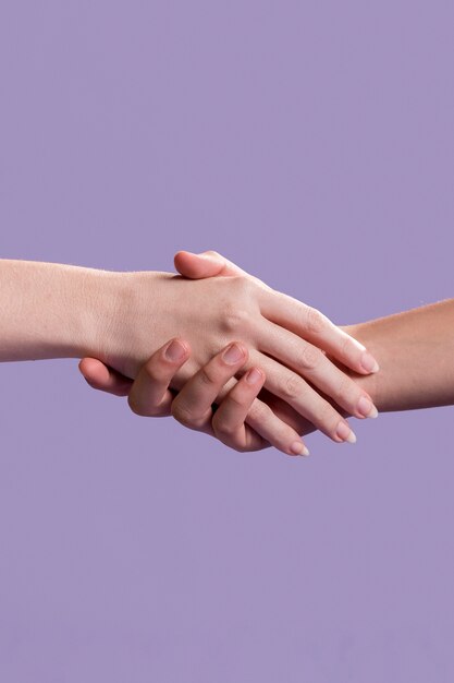 Women handshake as a sign of unity