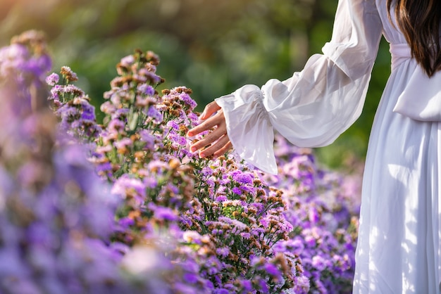 Women's hands touch purple flowers in the fields