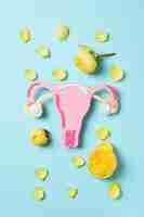 Free photo women's health and women's healthcare concept with uterus