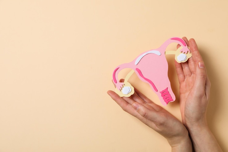 Free Photo women's health and women's healthcare concept with uterus