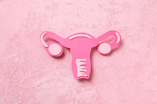 Women's health and women's healthcare concept with uterus