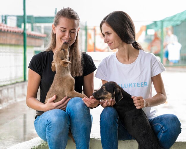 Женщины в приюте играют с милыми собаками-спасателями