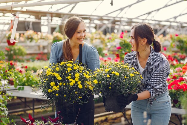 Women working in a greenhouse with a flowerpots