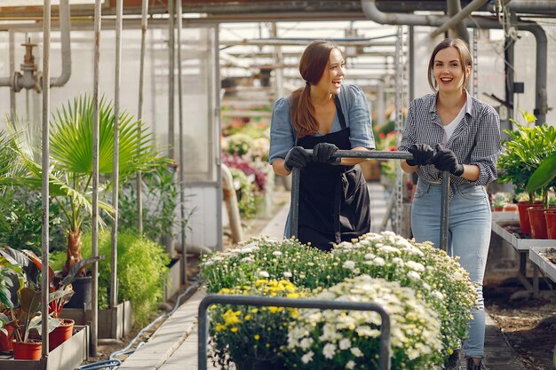 Women working in a greenhouse with a flowerpots
