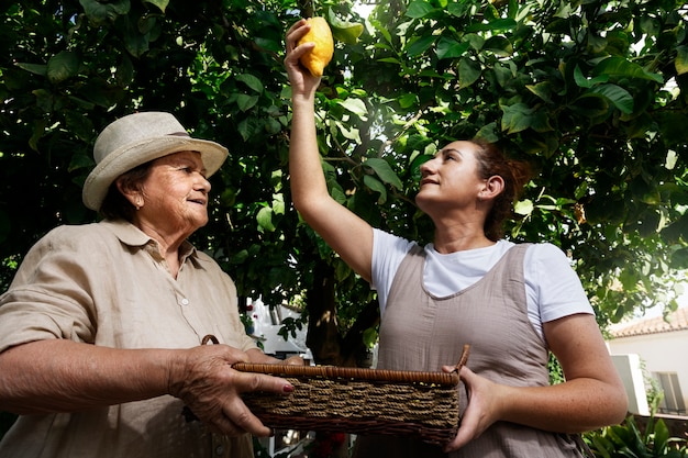 Donne che lavorano insieme in campagna