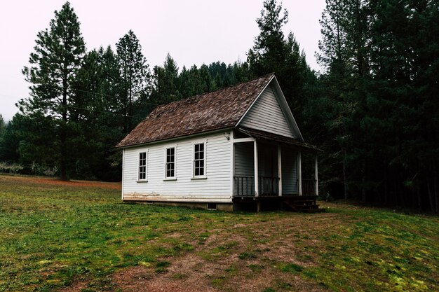 Wonderful scene of a lonely small house in the forest