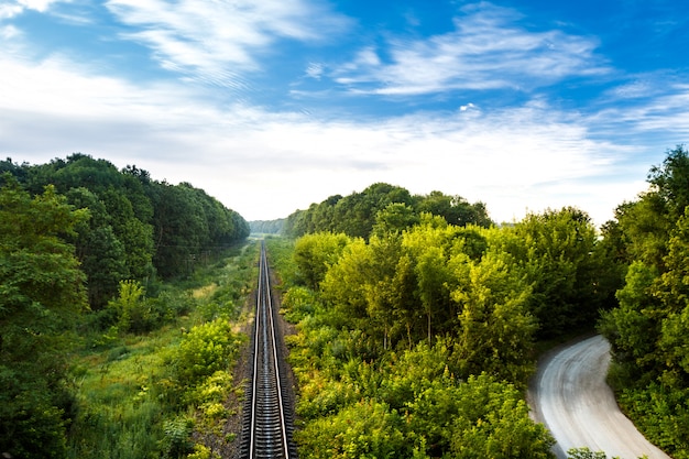 木の中で鉄道と田舎道の素晴らしい景色。