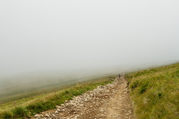 Wonderful view of Ukrainian Carpathian mountains in fog.