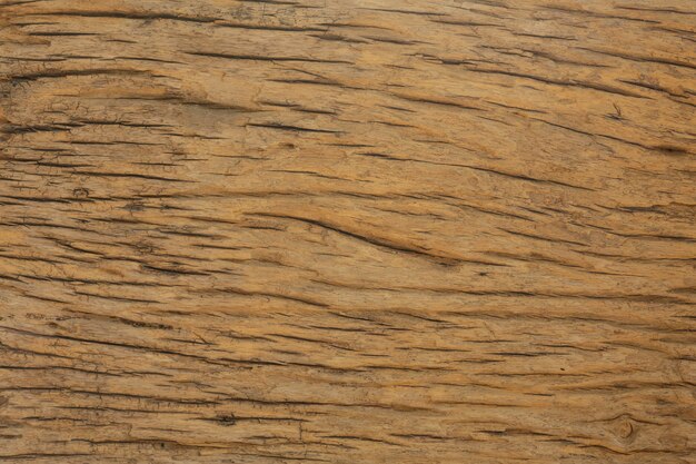 Wood background for design.