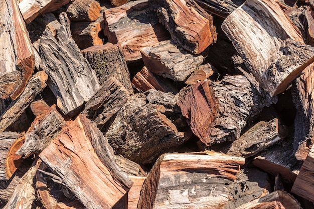 Wood chips with bark outdoors