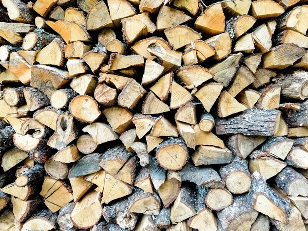 Wood logs texture