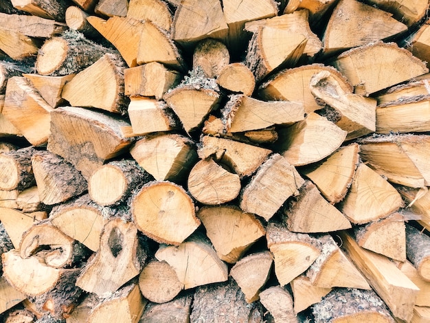 Free photo wood logs texture