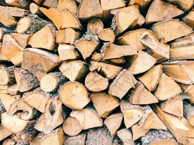 Wood logs texture