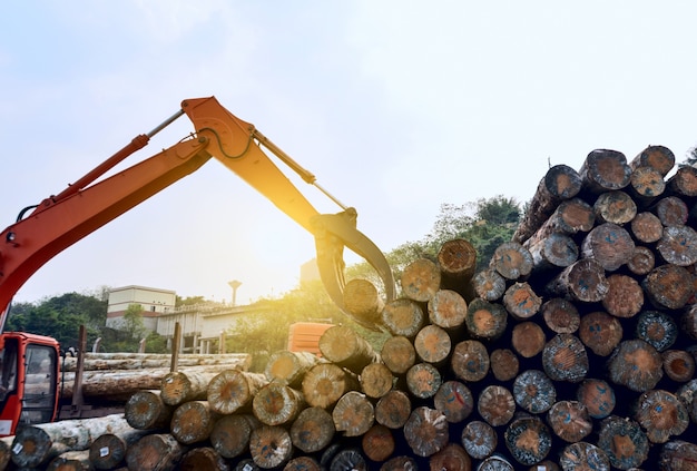 Foto gratuita fabbrica di lavorazione del legno