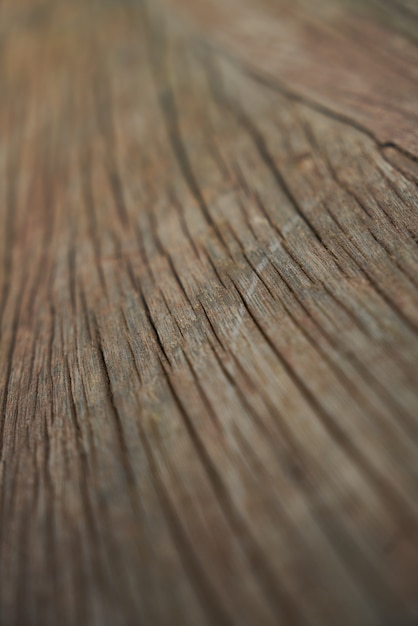 Лесосырьевые текстура коричневый древесины