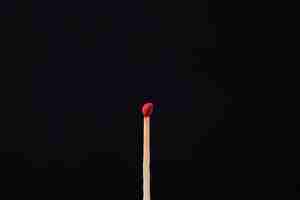 Free photo wood stick with dark background still life