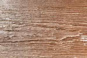 Free photo wood texture in close up