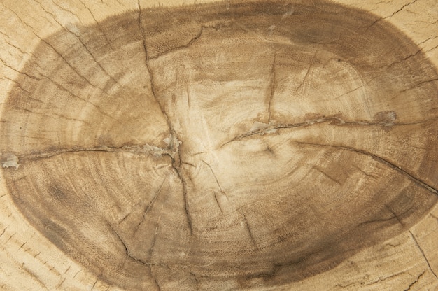 Текстура древесины близко