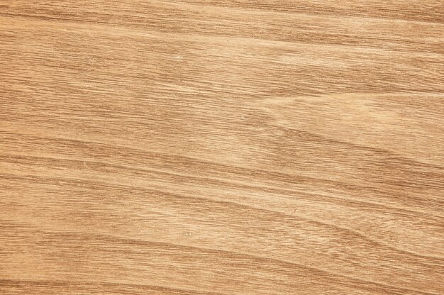 Wood texture close