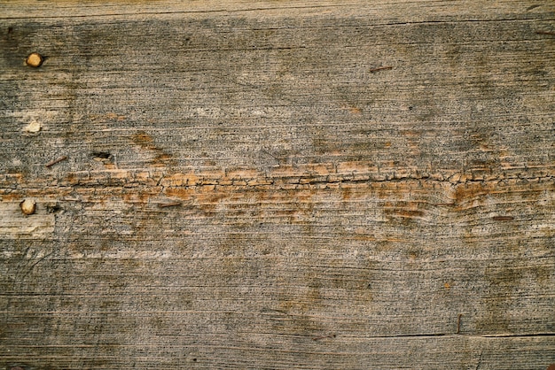 Free photo wood texture with cracks