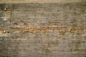 Free photo wood texture with cracks