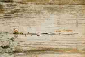 Free photo wood texture